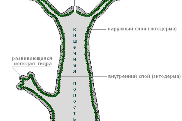 Ссылка кракен сайт зеркало