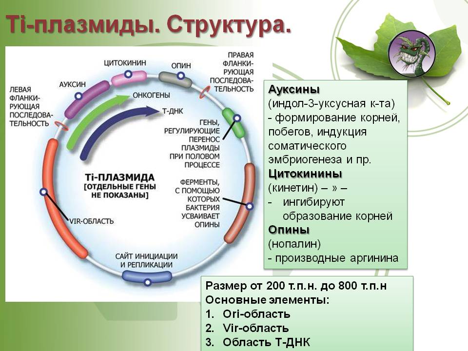 Кракен сайт 14