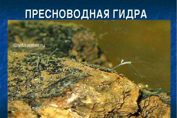 Кракен ссылка орион