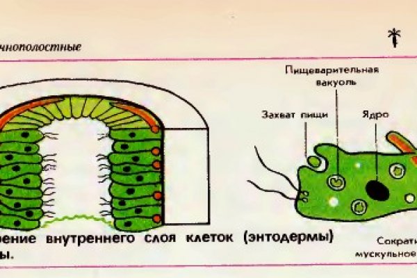 Пополнить кошелек кракен