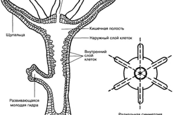 Кракен сайт krakens13 at